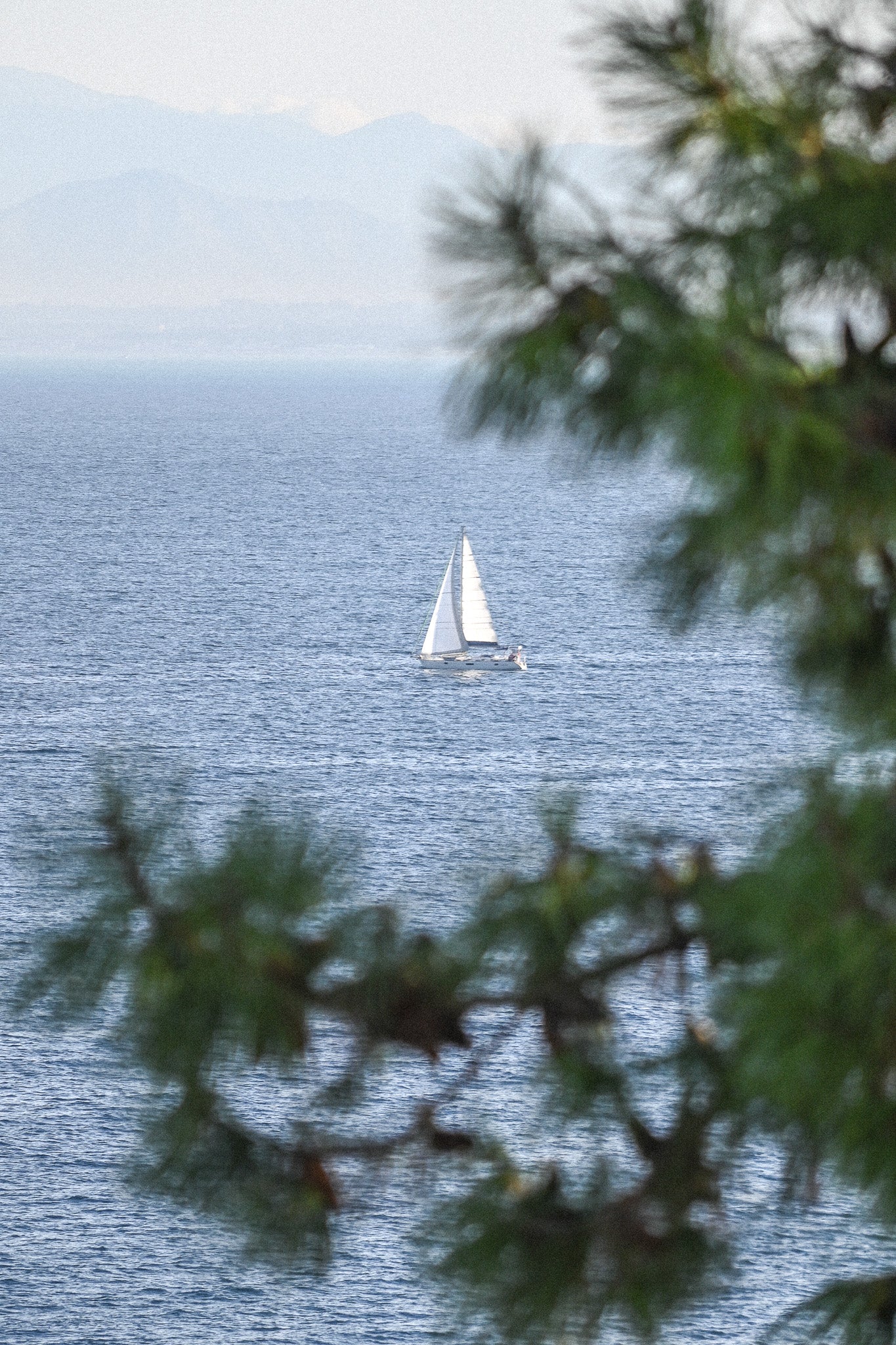 Seaside in Ischia
