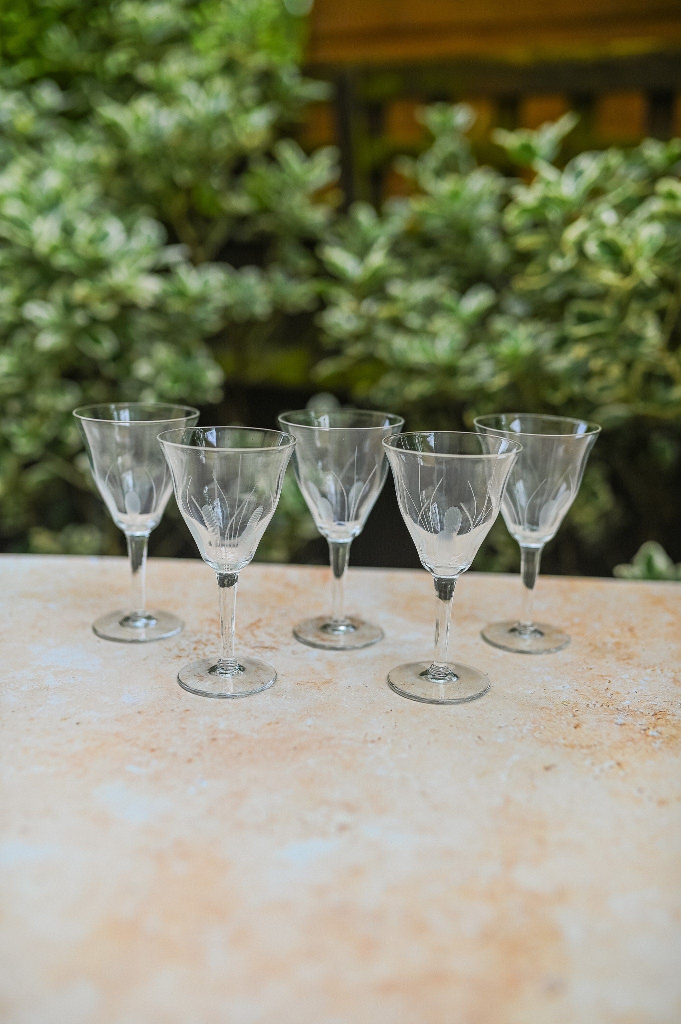 Delicate Vintage Wine Glasses, Set of 5