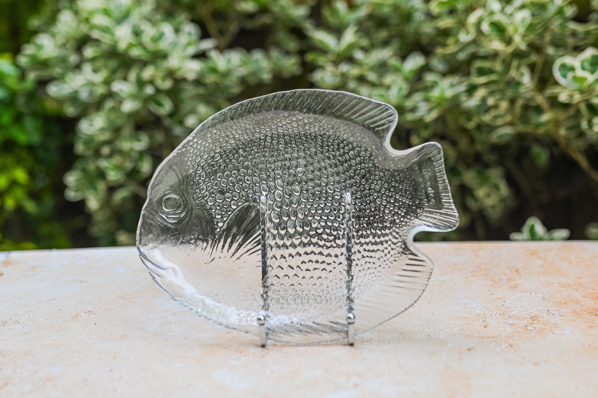 Glass Fish Plate