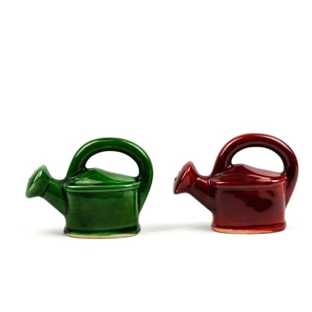 Salt & Pepper Shakers Watering Cans