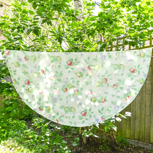 Large Apple Tablecloth